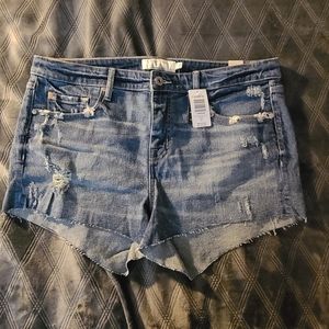 Brand New Torrid Shorts